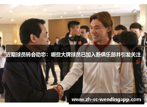近期球员转会动态：哪些大牌球员已加入新俱乐部并引发关注