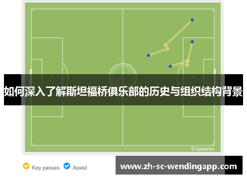 如何深入了解斯坦福桥俱乐部的历史与组织结构背景