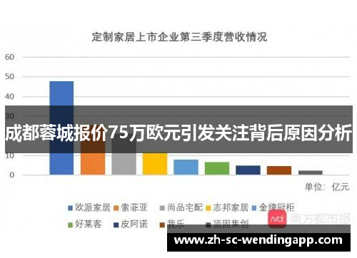成都蓉城报价75万欧元引发关注背后原因分析