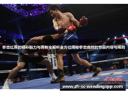 拳击比赛的精彩魅力与赛制全解析全方位揭秘拳击竞技的节目内容与规则