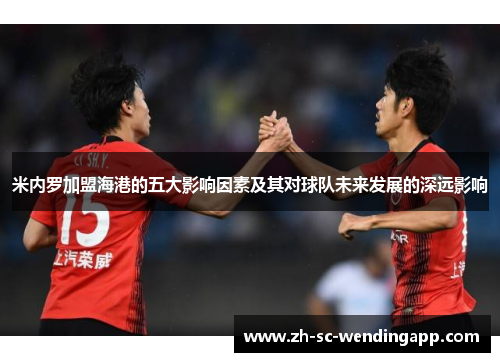 米内罗加盟海港的五大影响因素及其对球队未来发展的深远影响 米内罗加盟海港的五大影响因素及其对球队未来发展的深远影响