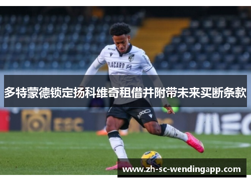 多特蒙德锁定扬科维奇租借并附带未来买断条款 多特蒙德锁定扬科维奇租借并附带未来买断条款