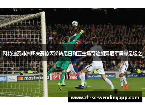 科特迪瓦非洲杯决赛惊天逆转尼日利亚主场奇迹加冕冠军震撼足坛之