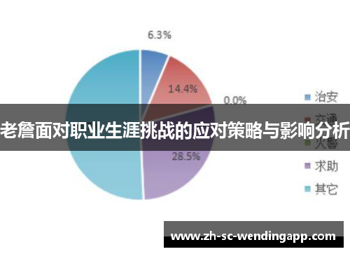 老詹面对职业生涯挑战的应对策略与影响分析