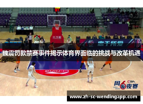 魏震罚款禁赛事件揭示体育界面临的挑战与改革机遇