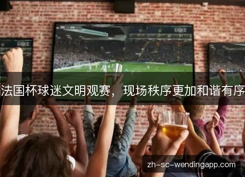 法国杯球迷文明观赛，现场秩序更加和谐有序