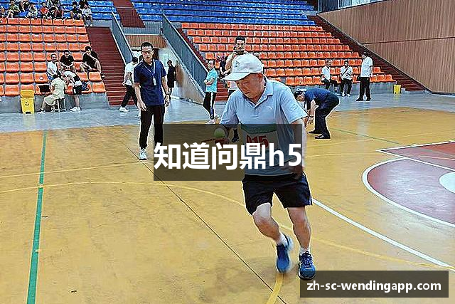 知道问鼎h5